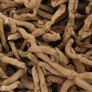 玉竹：（Fragrant Solomonseal Rhizome）