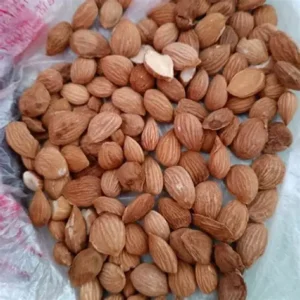 桃仁（ Peach Seed）