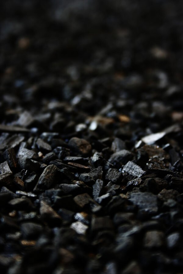Shilajit Resin