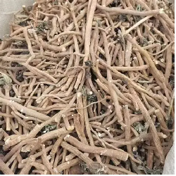 板蓝根（Indigowoad Root）