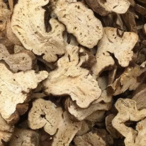 白术（White Atractylodes Rhizome）