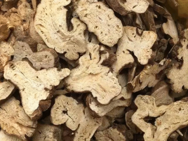白术（White Atractylodes Rhizome）