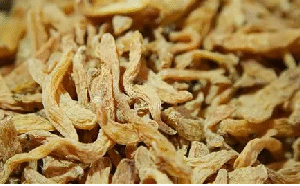天麻（ Gastrodia elata）