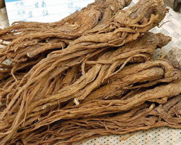当归（Chinese Angelica）