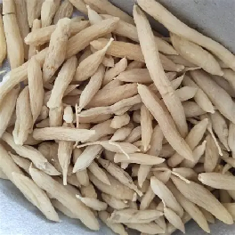 麦冬：（ Dwarf Lilyturf Root Tuber ）