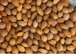 桃仁（ Peach Seed）