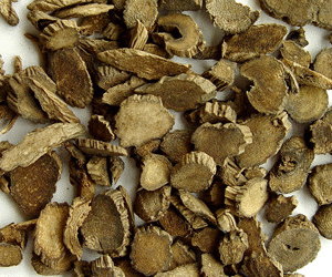 牛膝：（Achyranthes bidentata ）