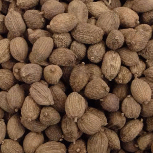 砂仁（Villous Amomum Fruit）