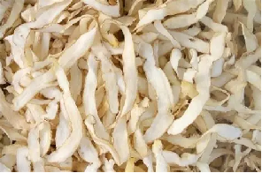 玉竹：（Fragrant Solomonseal Rhizome）