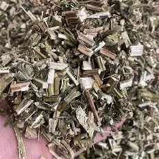 益母草：（Common Motherwort Herb）