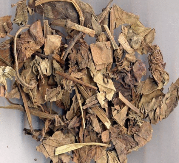 鱼腥草：（Heartleaf Houttuynia）