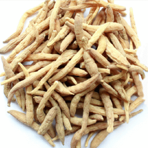 西洋参（American Ginseng）