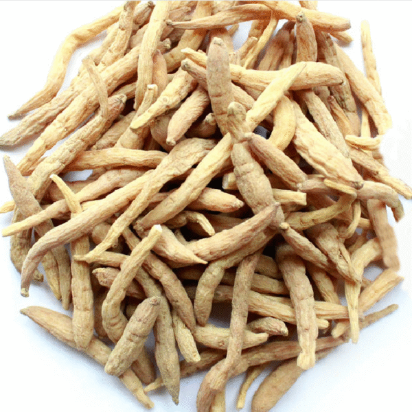 西洋参（American Ginseng）