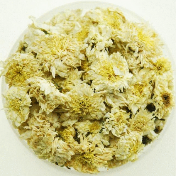 杭菊花（Chrysanthemum morifolium Ramat）